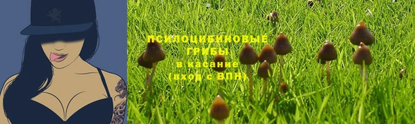 2c-b Горняк