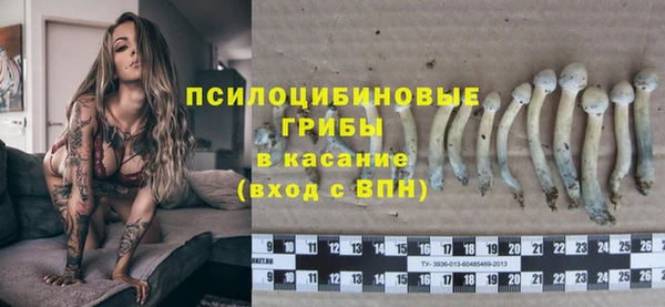 бутират Горнозаводск