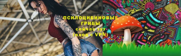 2c-b Горняк