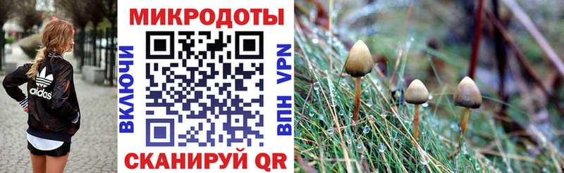 Галлюциногенные грибы Cubensis  Дегтярск 